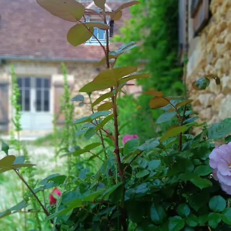 La Baignade Aux Iris Savignac-de-Miremont