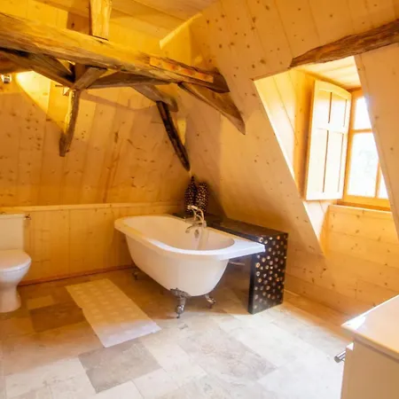 La Baignade Aux Iris Savignac-de-Miremont