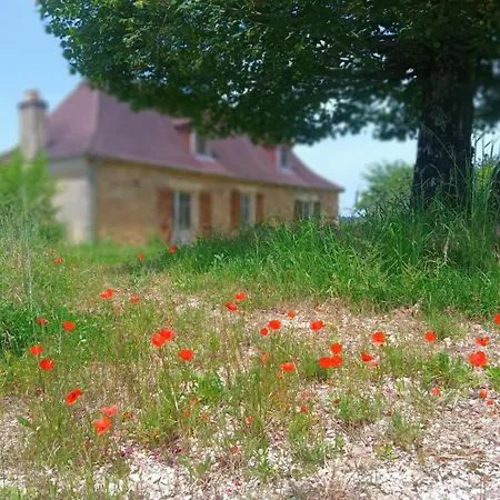 La Baignade Aux Iris