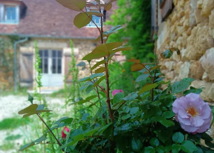 La Baignade Aux Iris Savignac-de-Miremont