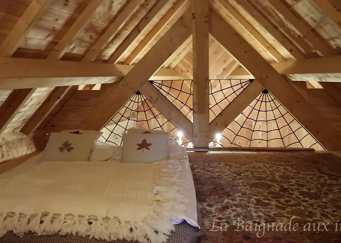 La Baignade Aux Iris * Savignac-de-Miremont