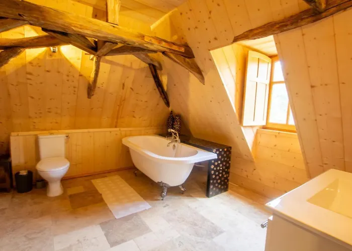 La Baignade Aux Iris Savignac-de-Miremont