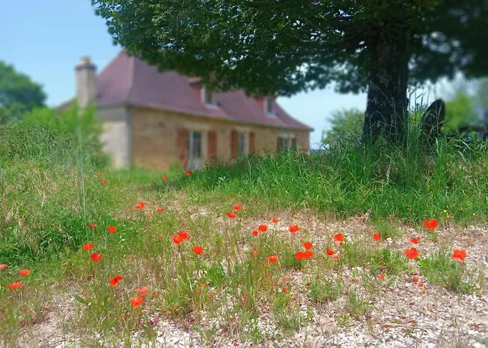 La Baignade Aux Iris