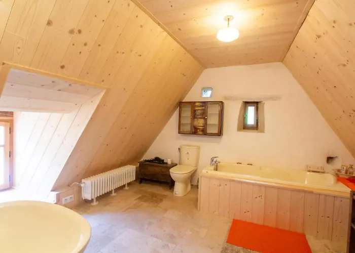 La Baignade Aux Iris Savignac-de-Miremont