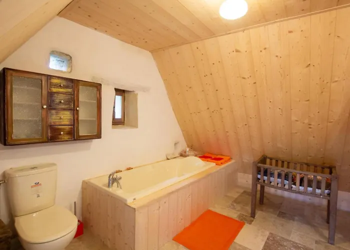 La Baignade Aux Iris *